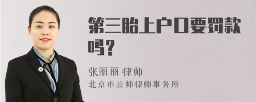 第三胎上户口要罚款吗？