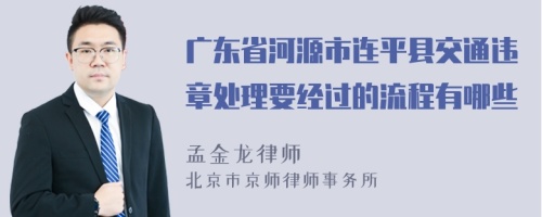 广东省河源市连平县交通违章处理要经过的流程有哪些