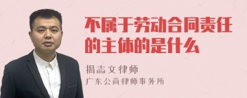 不属于劳动合同责任的主体的是什么