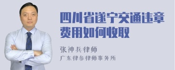 四川省遂宁交通违章费用如何收取