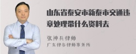 山东省泰安市新泰市交通违章处理带什么资料去