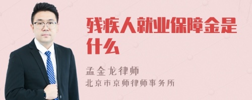 残疾人就业保障金是什么