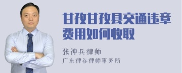 甘孜甘孜县交通违章费用如何收取