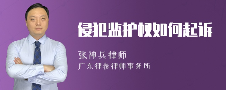 侵犯监护权如何起诉