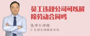 员工违规公司可以解除劳动合同吗