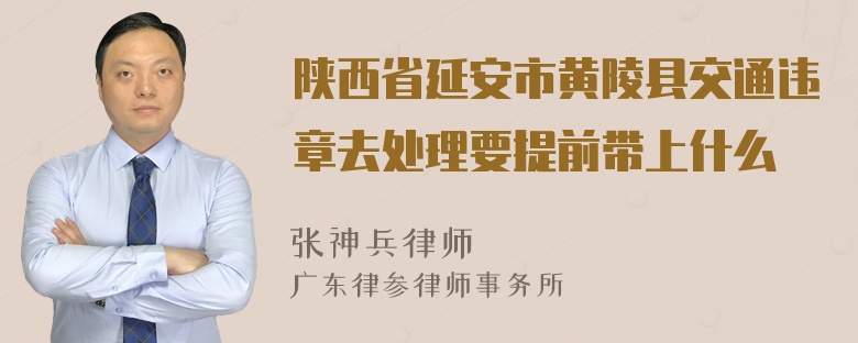 陕西省延安市黄陵县交通违章去处理要提前带上什么