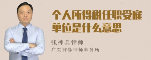 个人所得税任职受雇单位是什么意思