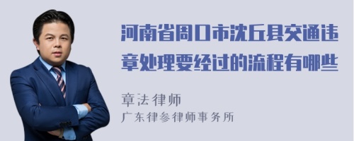 河南省周口市沈丘县交通违章处理要经过的流程有哪些