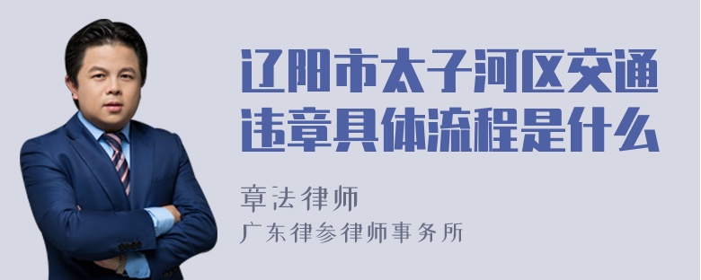 辽阳市太子河区交通违章具体流程是什么