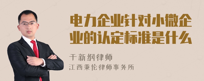 电力企业针对小微企业的认定标准是什么