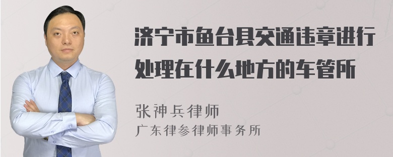 济宁市鱼台县交通违章进行处理在什么地方的车管所