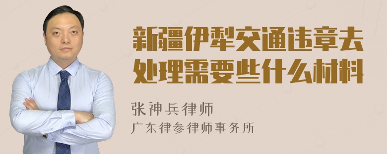 新疆伊犁交通违章去处理需要些什么材料