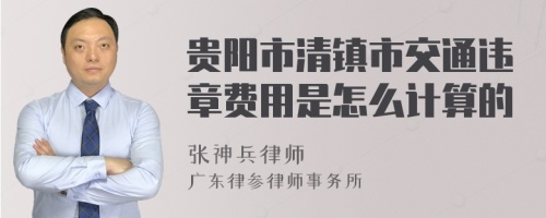 贵阳市清镇市交通违章费用是怎么计算的