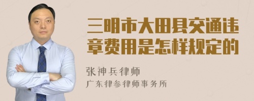 三明市大田县交通违章费用是怎样规定的