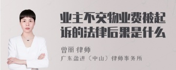 业主不交物业费被起诉的法律后果是什么