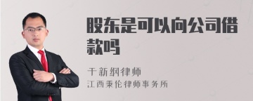 股东是可以向公司借款吗