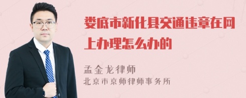 娄底市新化县交通违章在网上办理怎么办的