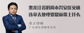 黑龙江省鹤岗市兴安区交通违章去处理要提前带上什么