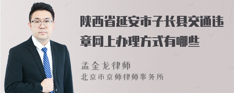 陕西省延安市子长县交通违章网上办理方式有哪些