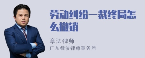 劳动纠纷一裁终局怎么撤销