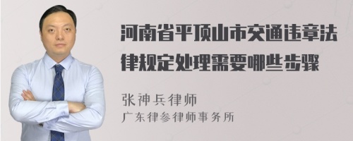 河南省平顶山市交通违章法律规定处理需要哪些步骤