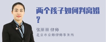 两个孩子如何判离婚?