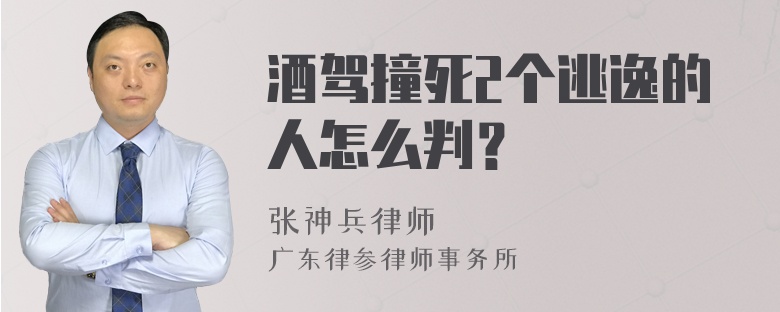 酒驾撞死2个逃逸的人怎么判？