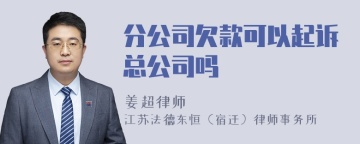 分公司欠款可以起诉总公司吗