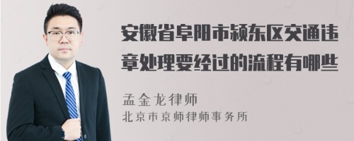 安徽省阜阳市颍东区交通违章处理要经过的流程有哪些