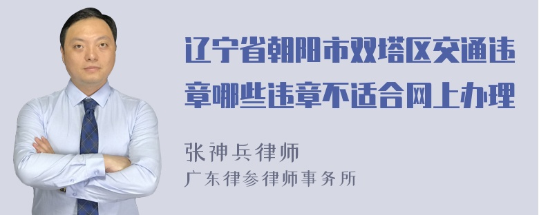 辽宁省朝阳市双塔区交通违章哪些违章不适合网上办理