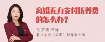 离婚无力支付抚养费的怎么办？