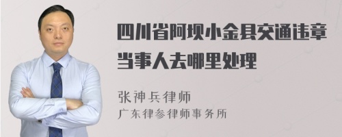 四川省阿坝小金县交通违章当事人去哪里处理