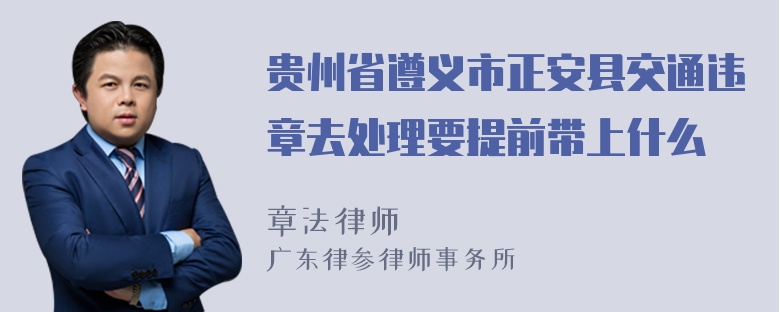 贵州省遵义市正安县交通违章去处理要提前带上什么