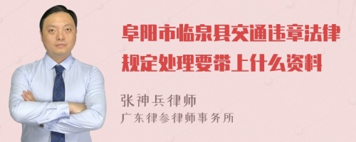 阜阳市临泉县交通违章法律规定处理要带上什么资料