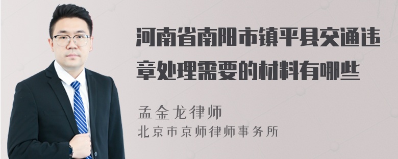 河南省南阳市镇平县交通违章处理需要的材料有哪些