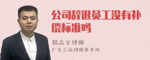 公司辞退员工没有补偿标准吗