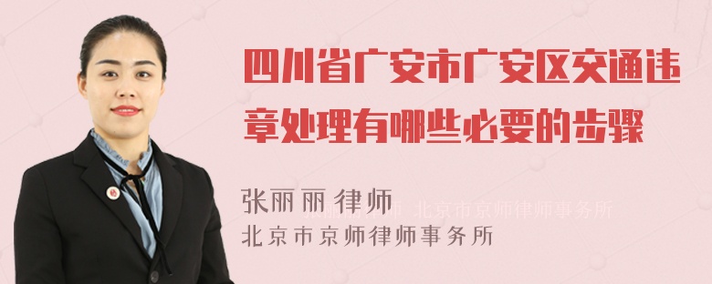 四川省广安市广安区交通违章处理有哪些必要的步骤