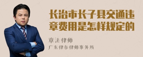 长治市长子县交通违章费用是怎样规定的