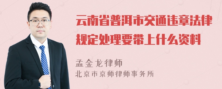 云南省普洱市交通违章法律规定处理要带上什么资料