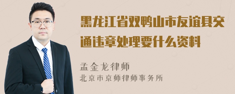 黑龙江省双鸭山市友谊县交通违章处理要什么资料