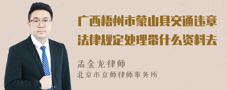 广西梧州市蒙山县交通违章法律规定处理带什么资料去