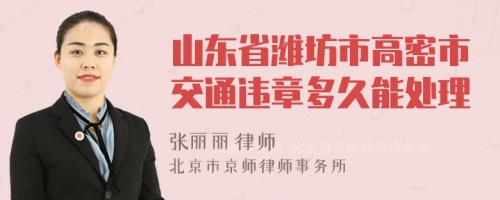 山东省潍坊市高密市交通违章多久能处理