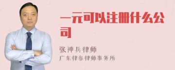 一元可以注册什么公司