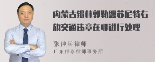 内蒙古锡林郭勒盟苏尼特右旗交通违章在哪进行处理