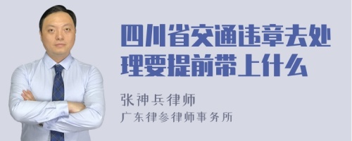 四川省交通违章去处理要提前带上什么