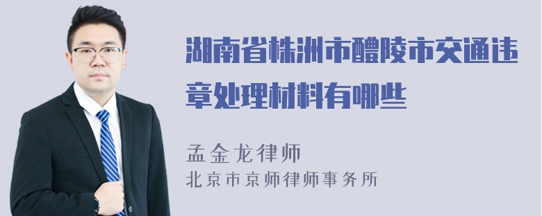 湖南省株洲市醴陵市交通违章处理材料有哪些