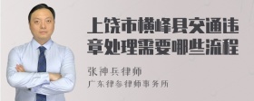 上饶市横峰县交通违章处理需要哪些流程