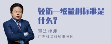 轻伤一级量刑标准是什么？