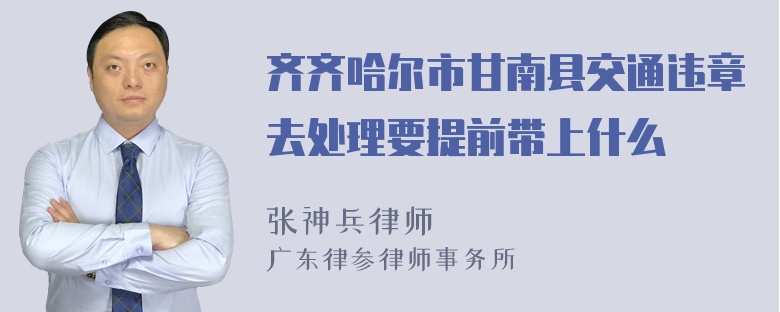 齐齐哈尔市甘南县交通违章去处理要提前带上什么