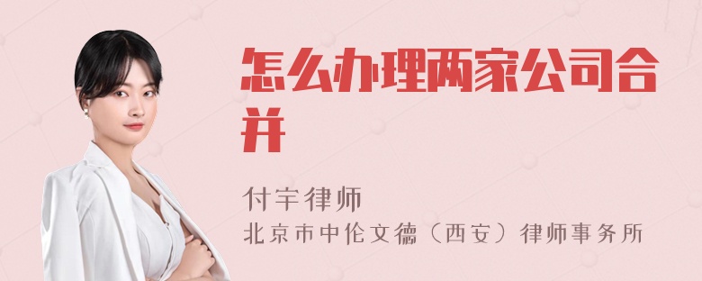 怎么办理两家公司合并